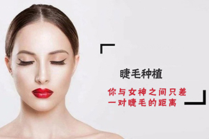 上海411植发美容科睫毛种植效果及价格 睫毛形态自然