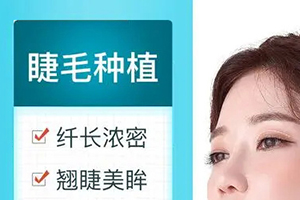 深圳新生植发科睫毛种植多少钱 种植过程中安全吗
