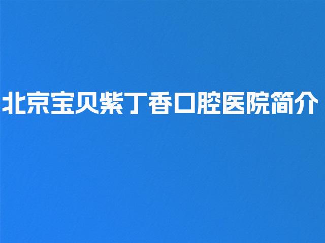 北京宝贝紫丁香口腔医院简介